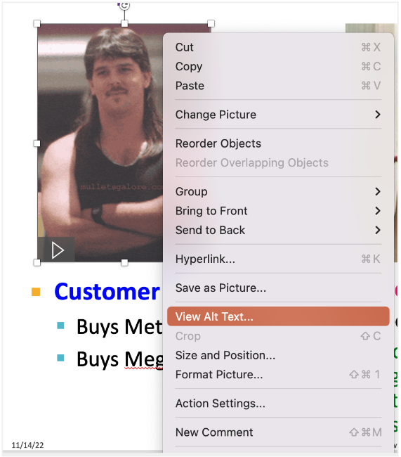 the "View Alt Text" option highlighted context menu after right clicking a picture