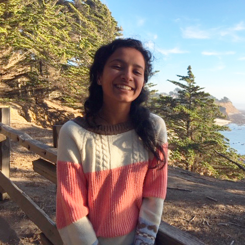 Aashaka Desai, a young woman with long, wavy brown hair, sitting at a viewpoint overlooking the ocean.